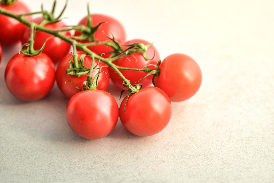 Como Plantar Tomate Cereja